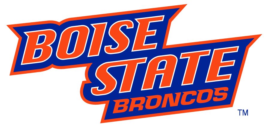 Boise State Broncos 2002-2012 Wordmark Logo v4 t shirts iron on transfers